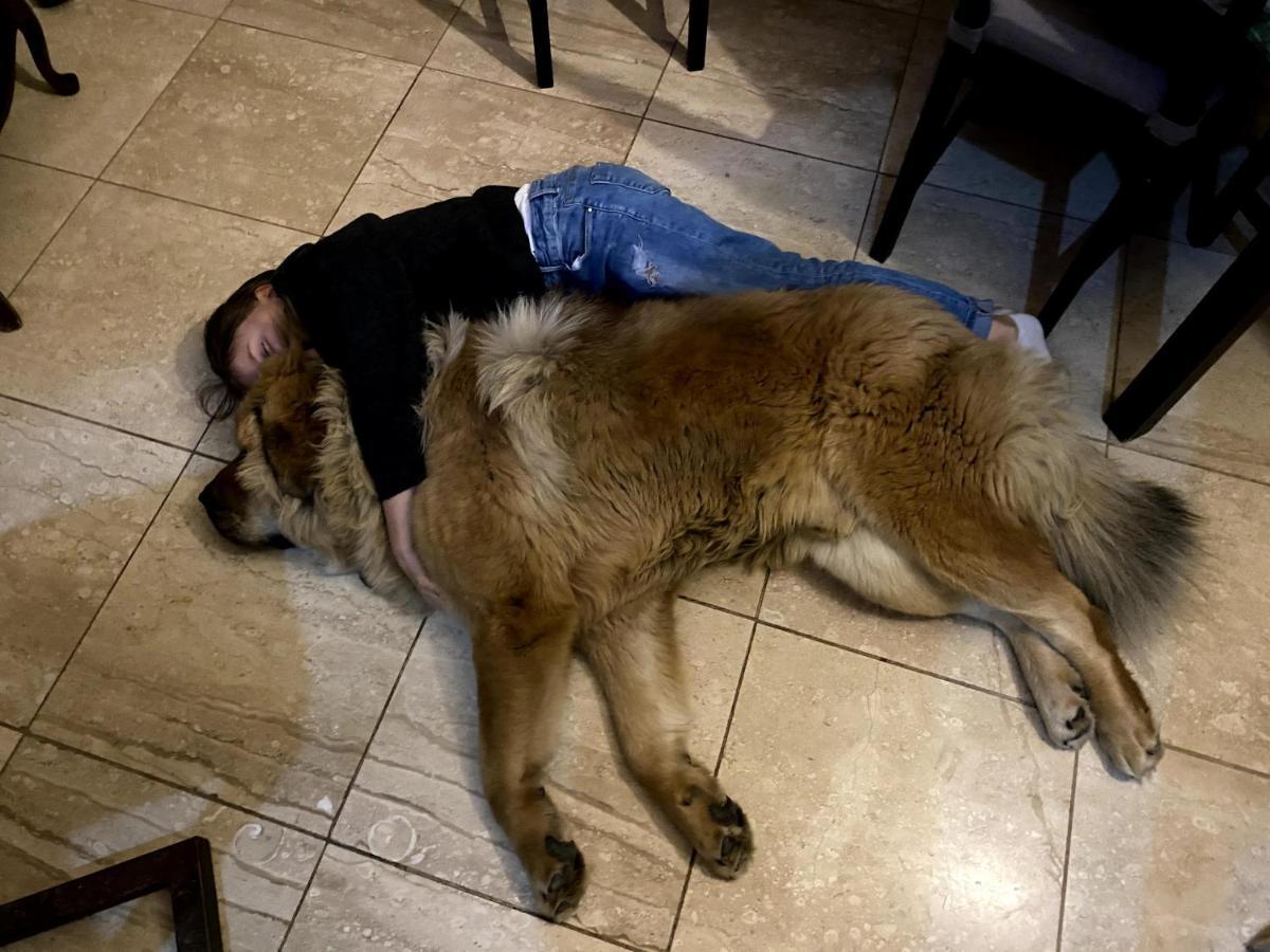 Dom Supelek Bed & Breakfast Duszniki Zdroj Luaran gambar