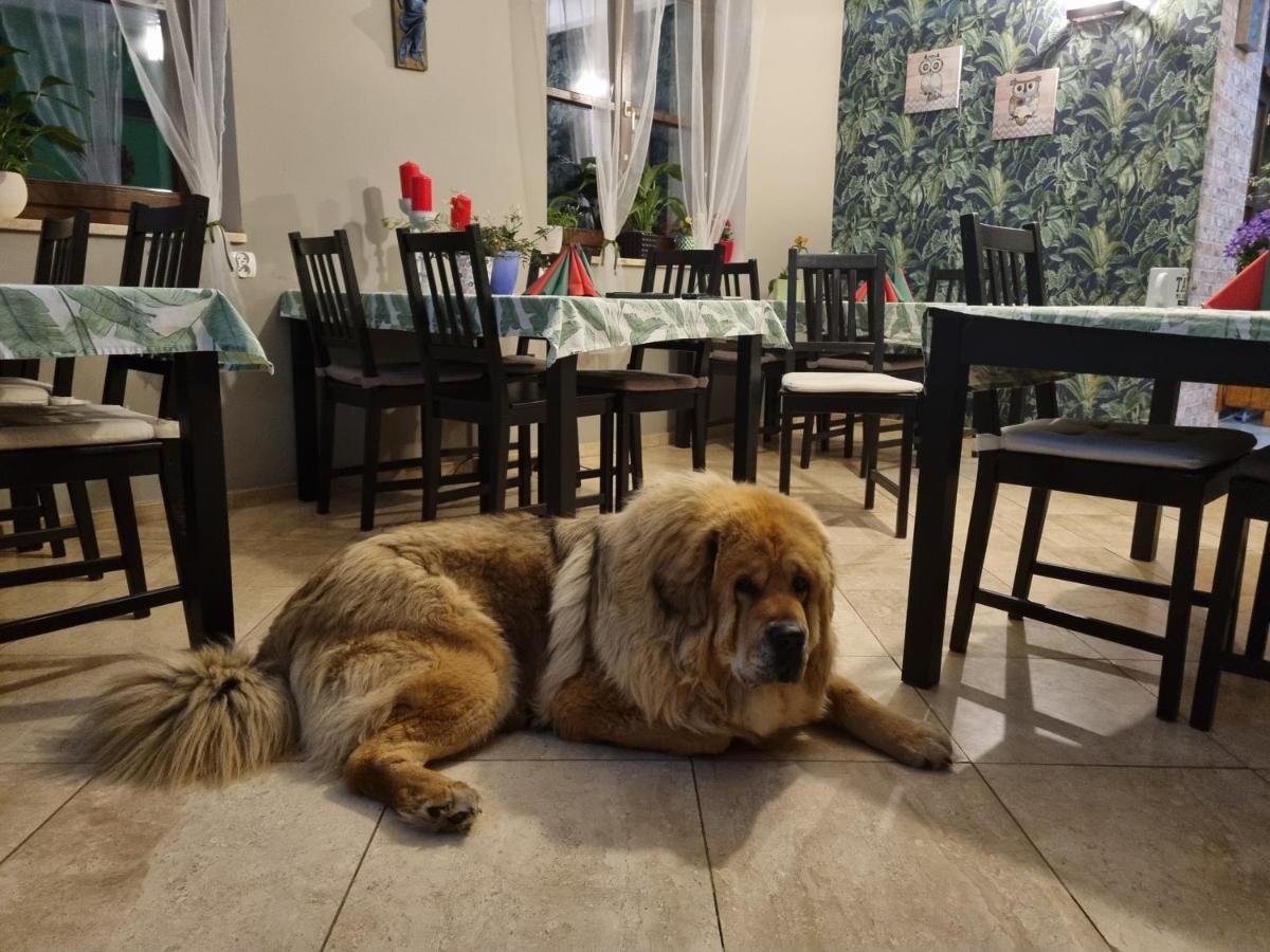 Dom Supelek Bed & Breakfast Duszniki Zdroj Luaran gambar