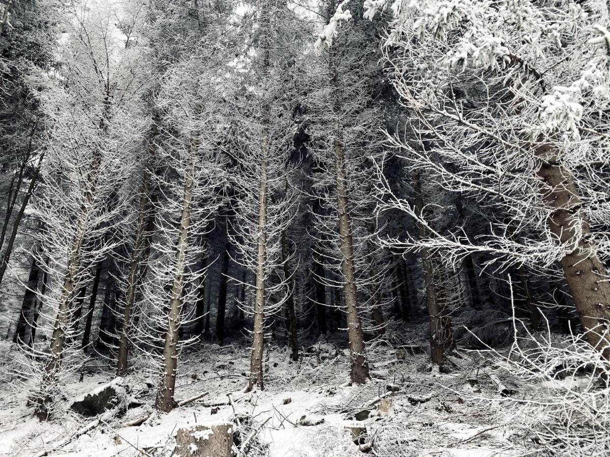 Dom Supelek Bed & Breakfast Duszniki Zdroj Luaran gambar